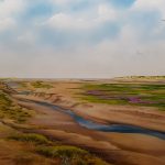 Texel